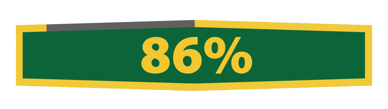 86 percentage graphic