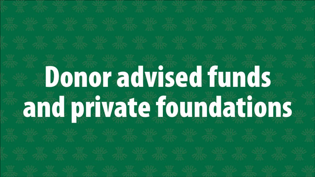 Donor advised funds and private foundations